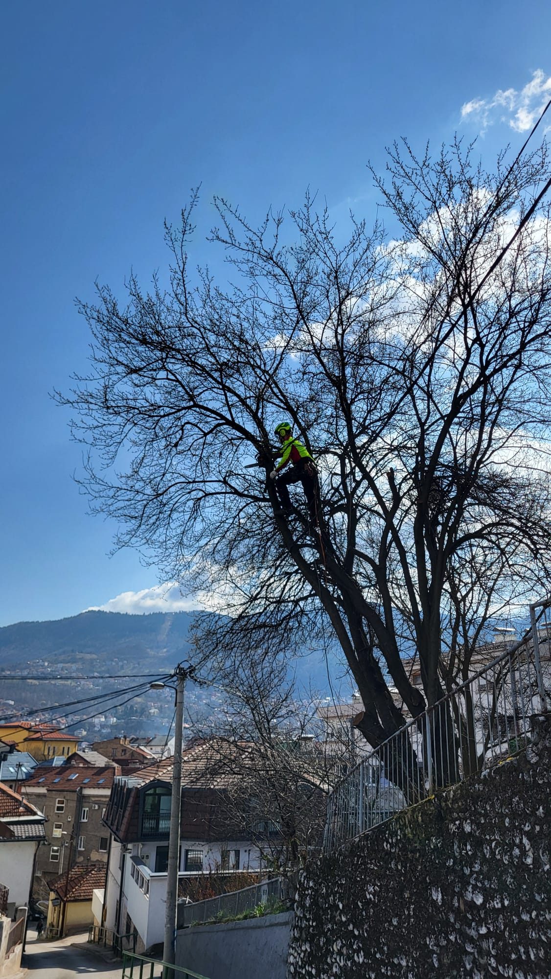 Obaranje stabla u rizičnoj zoni uz pomoć alpiniste — Belgross Sarajevo